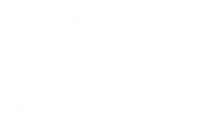A3